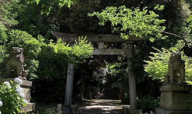 赤坂氷川神社での挙式案内 | 神社結婚式プロデュース 京鐘